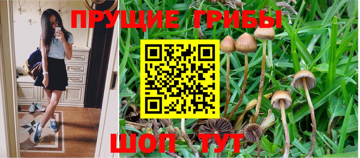 наркотики  Псилоцибиновые грибы Psilocybine cubensis  Псилоцибиновые грибы ЛСД  Вход с VPN  Миллерово 